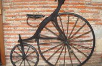 Camus velocipede