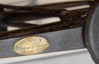 Michaux serpentine frame