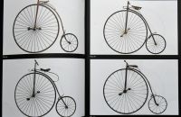 Glynn Stockdale Collection 2019