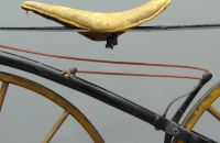 Wood Brothers boneshaker