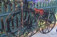 San Francisco Velocipede