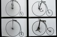 Glynn Stockdale Collection 2019