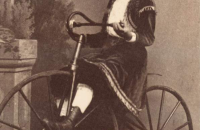 Pickering velocipede photos