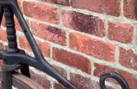 Early David velocipede