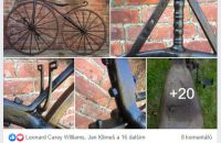 Early David velocipede
