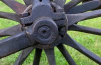Early David velocipede