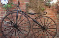 Early David velocipede