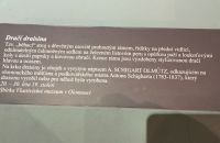 254/A Okolo Hradce - výstava