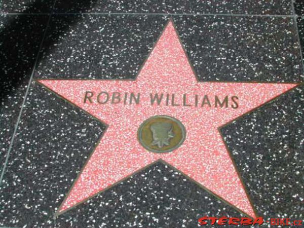 262/B - Robin Williams collection