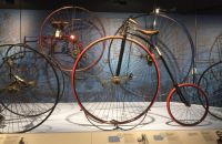 261 - Exposition 2020