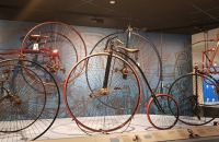 261 - Exposition 2020