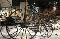 261 - Exposition 2020