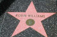262/B - Robin Williams collection