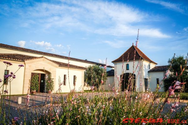 265/B - Château Haut Goujon à Montagne