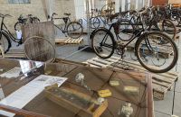 267/A - Velocipiade 2021 exposition