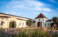 265/B - Château Haut Goujon à Montagne