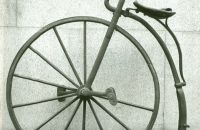 Kohout, 1879