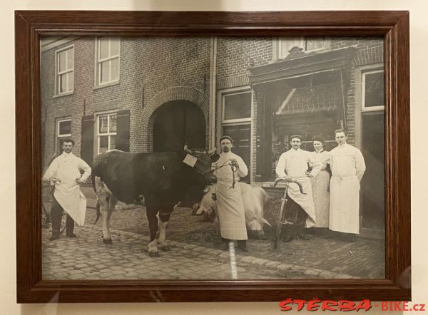 9/M. VELORAMA - Nijmegen – Holandsko 2021