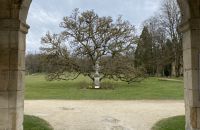 24/2 - Abbaye Tres Fountais