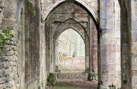 24/2 - Abbaye Tres Fountais