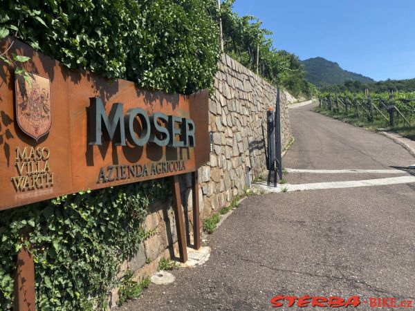 278/C. Moser wine production