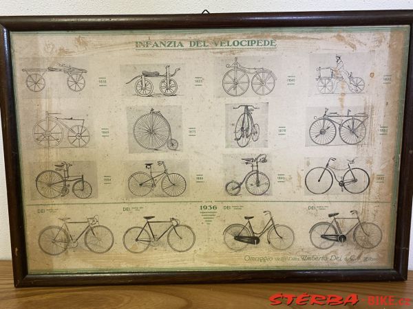 277/A. Museo Storico della Bicicletta