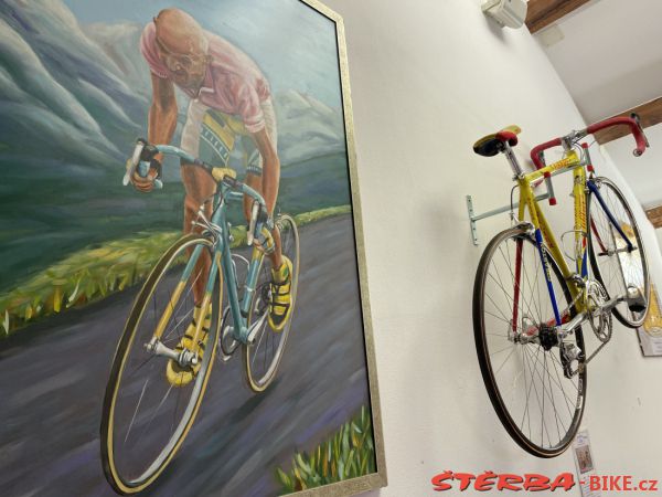277/A. Museo Storico della Bicicletta