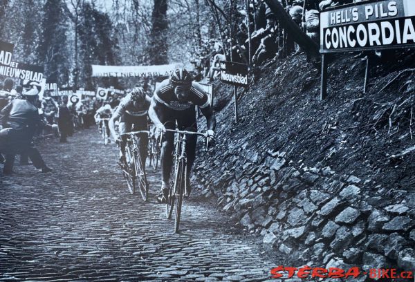 Do you know Francesco Moser?