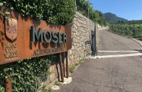 278/C. Moser vinařství