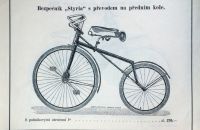 Styria 1894