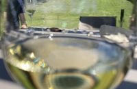 Visit of winery