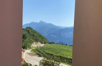Visit of winery