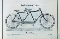 Styria 1894
