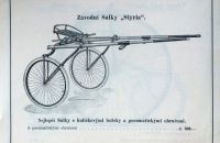 Styria 1894