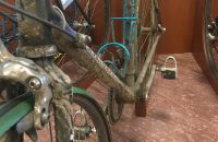 282/A. Colnago Italy