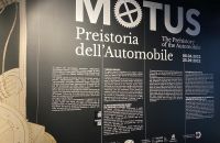 281/A. Exposition "MOTUS" 2022