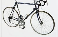 280/B. Museo Tino Sana - Sala Gimondi
