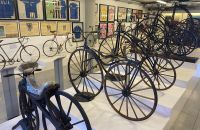 280/A. Museo Tino Sana, Italy