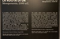281/B. Exposition "MOTUS" 2022