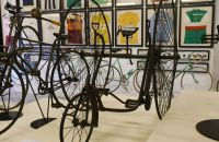 280/A. Museo Tino Sana, Italy
