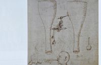 281/A. Exposition "MOTUS" 2022