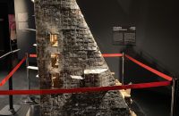281/B. Exposition "MOTUS" 2022