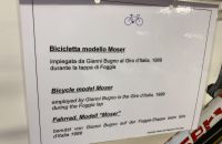 280/B. Museo Tino Sana - Sala Gimondi