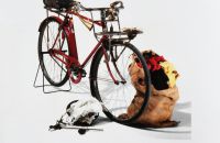 280/D: Biciclette Dei Mestieri Ambulanti - katalog