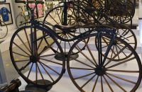 280/A. Museo Tino Sana, Italy