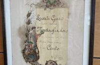 52/A. - Museo NICOLIS, Itálie