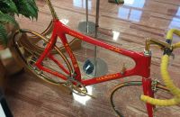 282/A. Colnago Italy