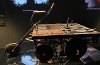 281/B. Exposition "MOTUS" 2022