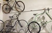 242/A - Collezione A. & C. Azzini