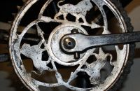 286/B. Museo Cyclostorico Palazzi - Italy